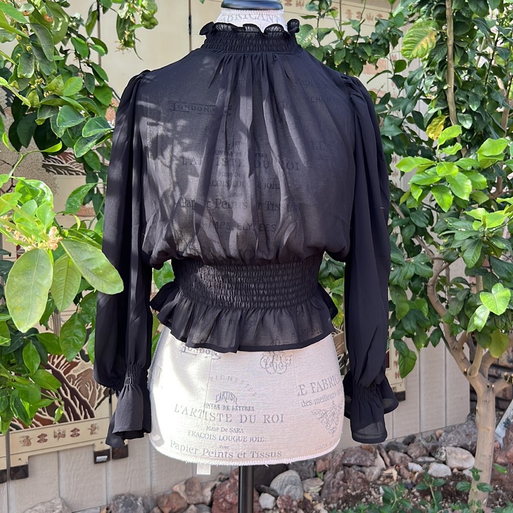 Blush J sheer black blouse